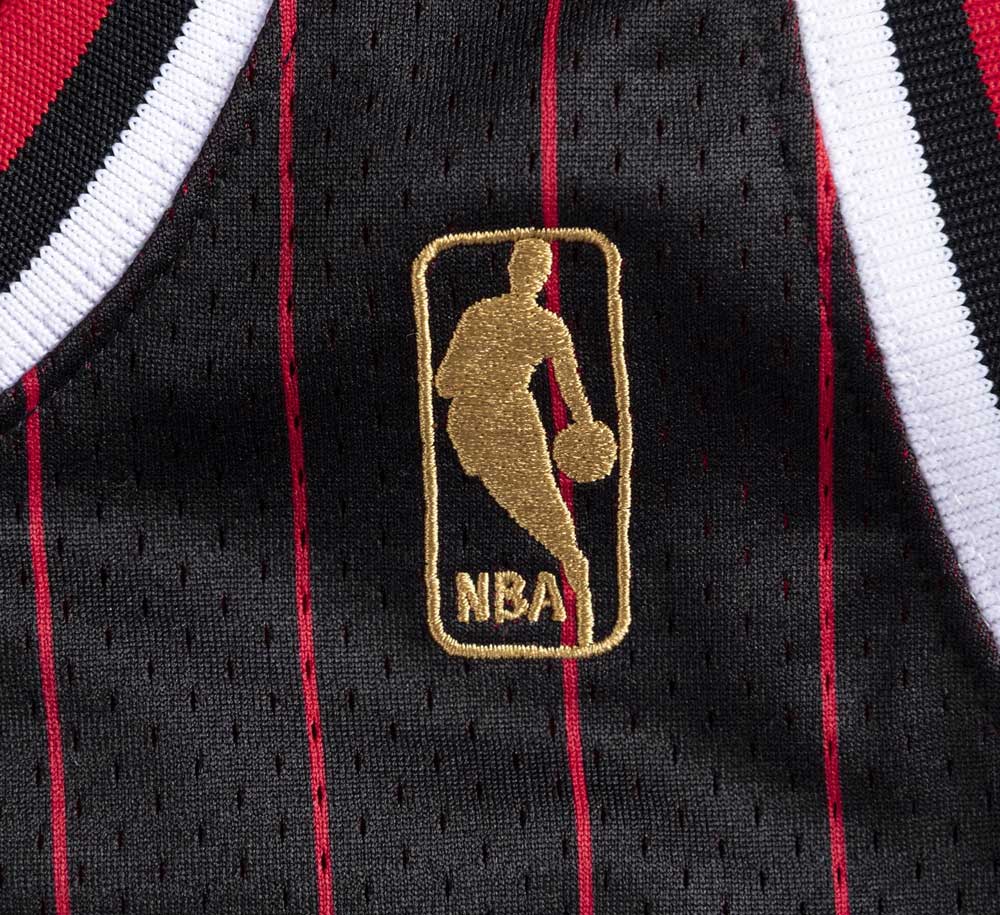 AUTHENTIC JERSEY CHICAGO BULLS ALTERNATE 1996-97 MICHAEL JORDAN - Image 5