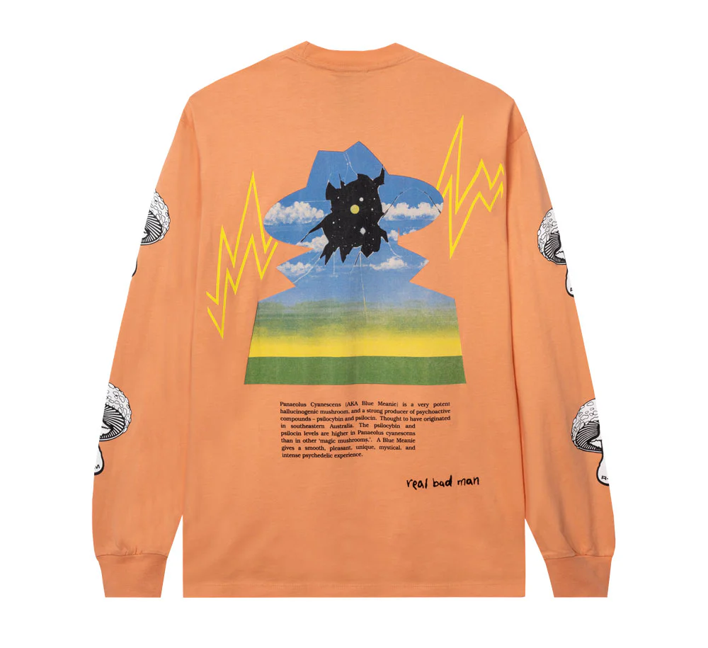 BLUE MEANIE LS TEE - Image 2