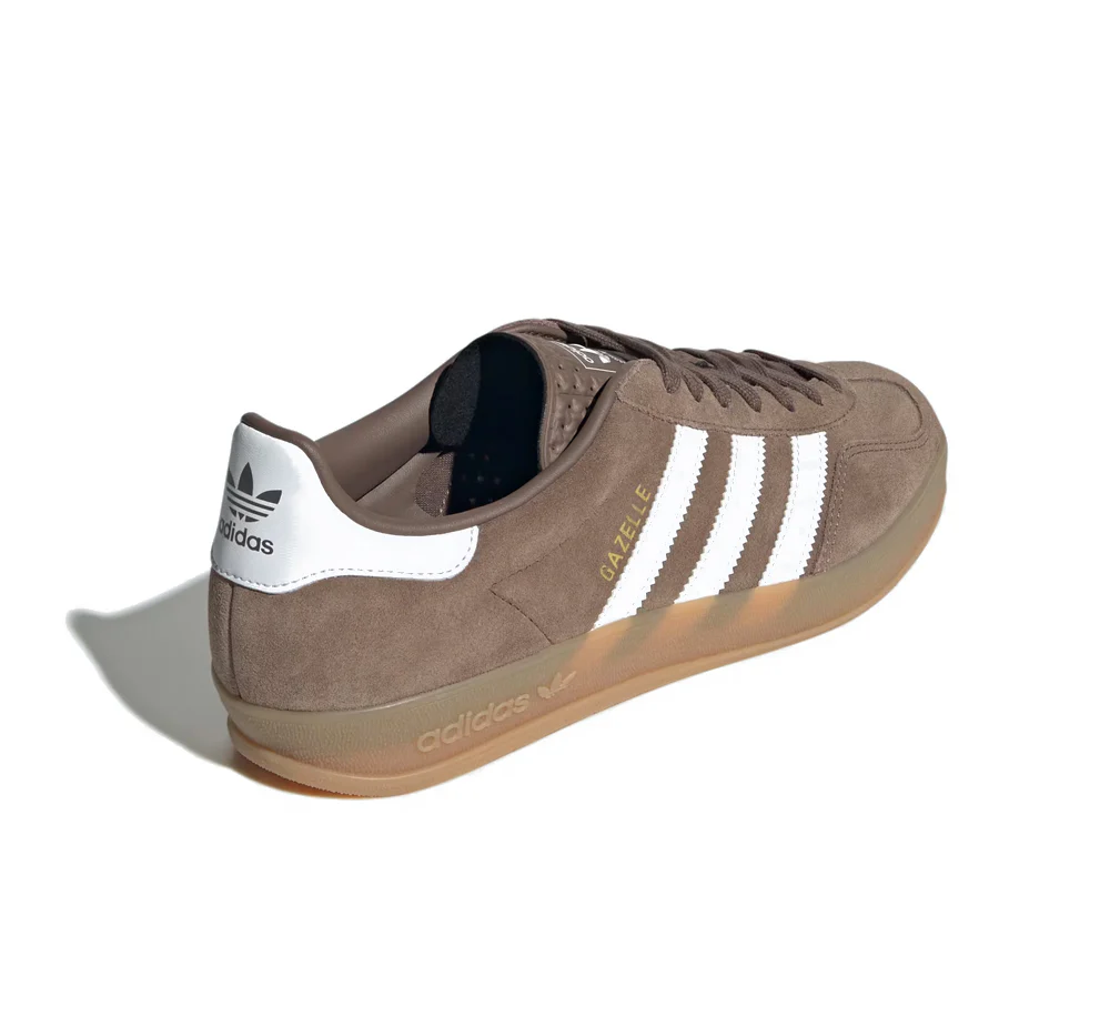 Gazelle Indoor - Image 3