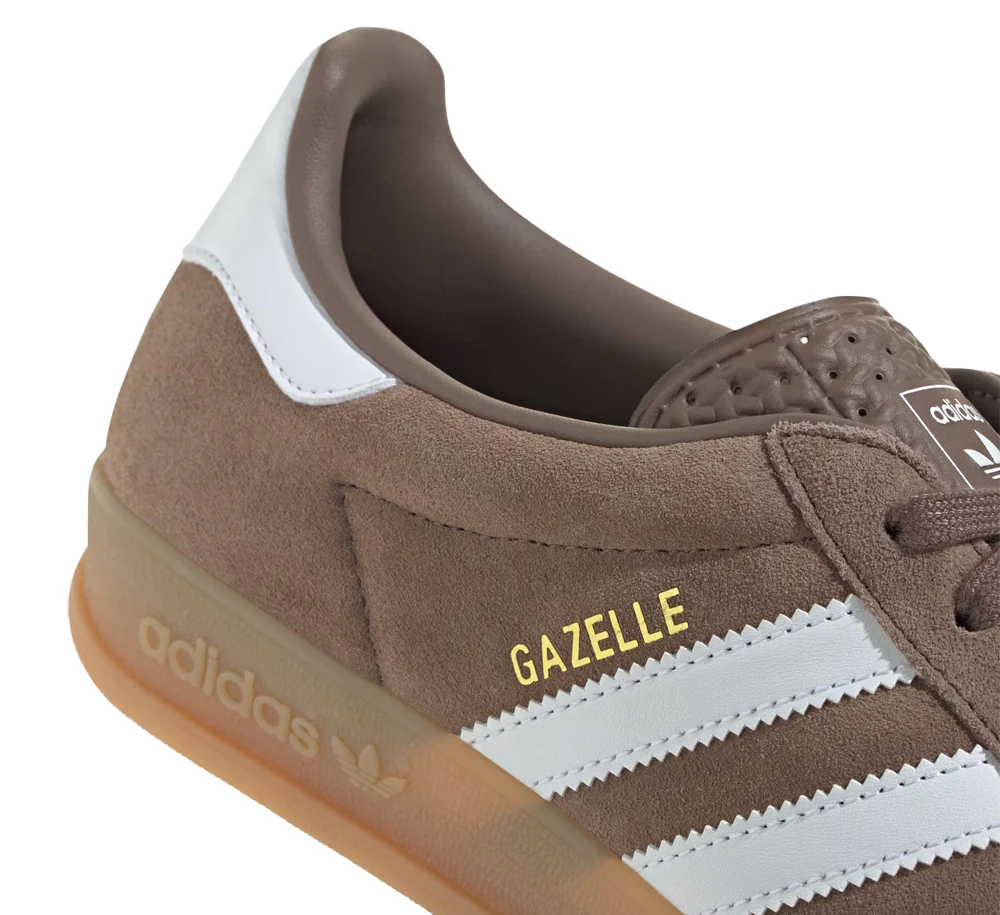 Gazelle Indoor - Image 7