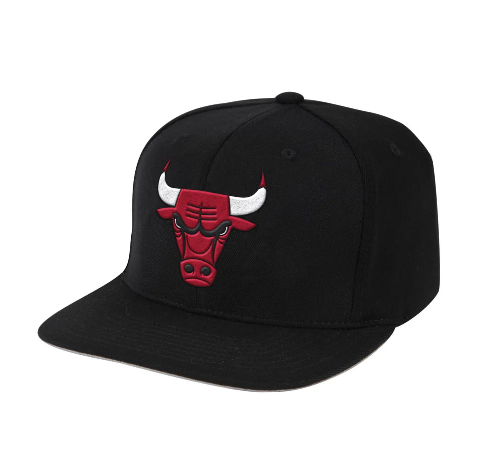 NBA DOWNTIME STRETCH SNAPBACK NBA BULLS