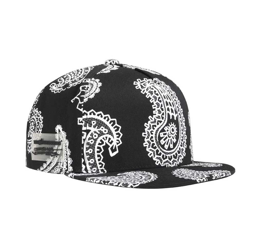 VIDES PAISLEY SNAPBACK - Image 2