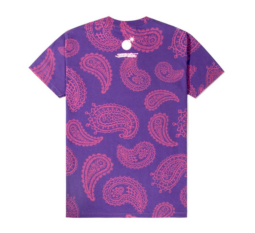 VIDES PAISLEY TEE - Image 2