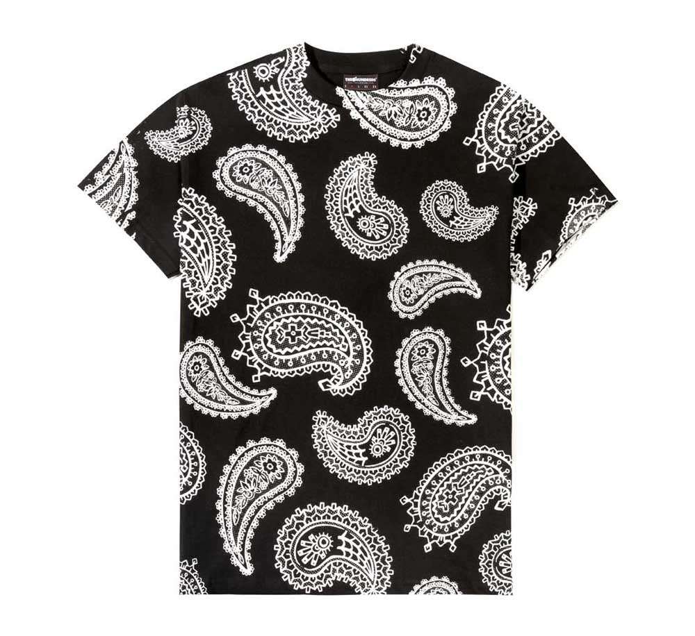 VIDES PAISLEY TEE